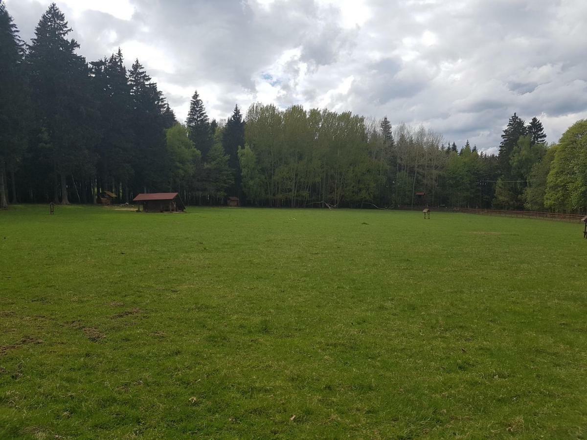 Pension Villa Berolina Marianske Lazne Bagian luar foto