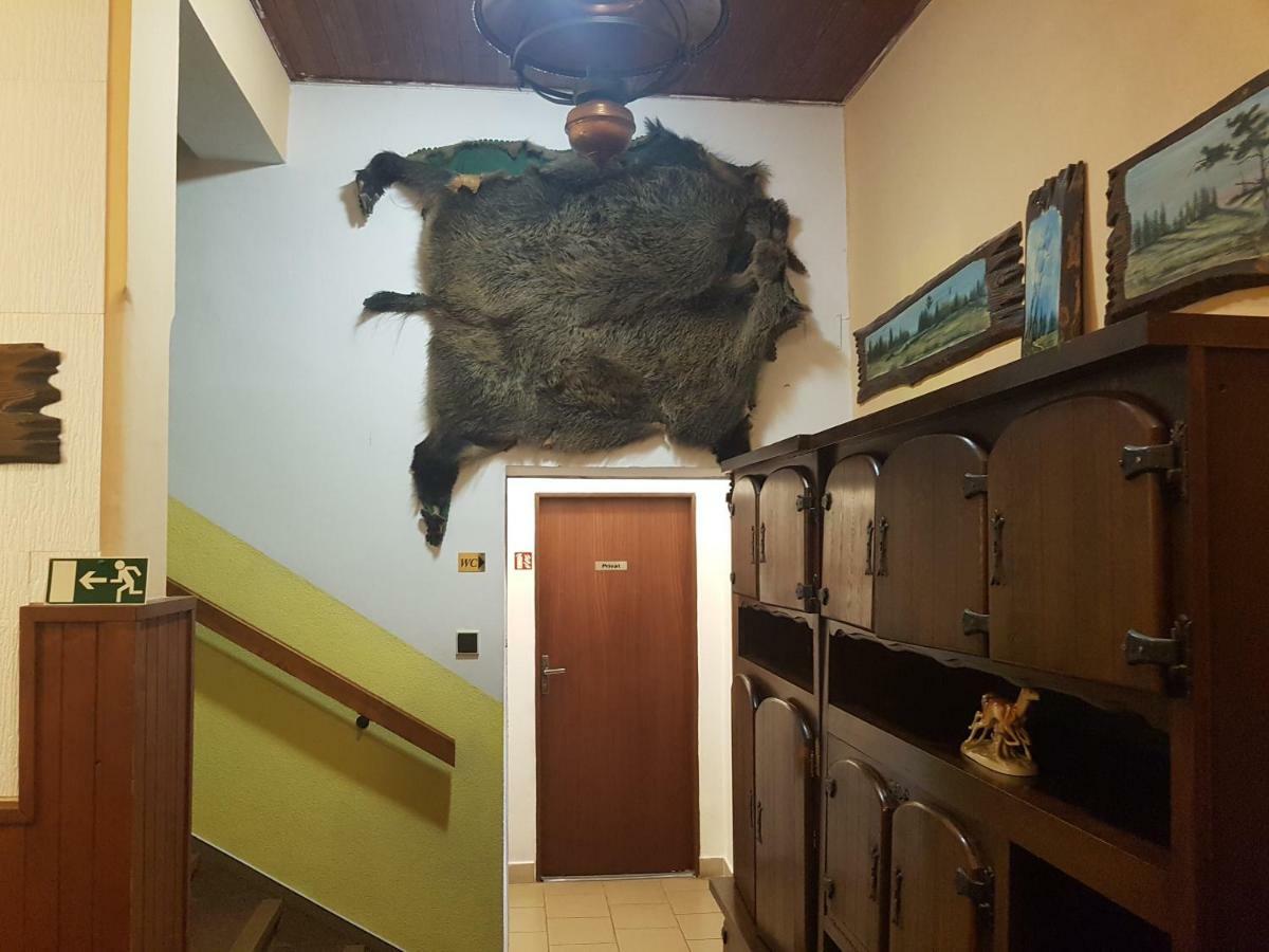 Pension Villa Berolina Marianske Lazne Bagian luar foto